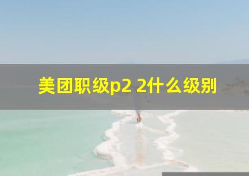 美团职级p2 2什么级别